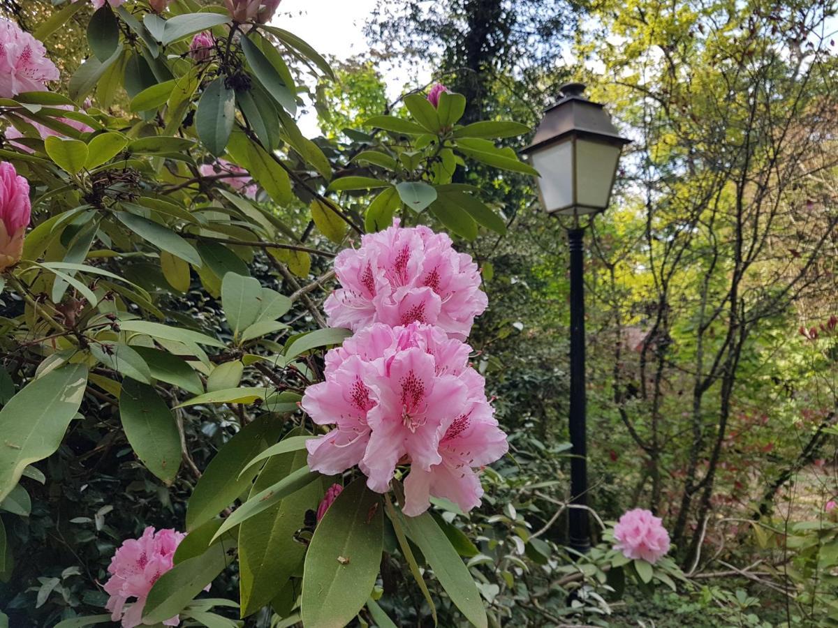 Chateau De La Rose Cluis エクステリア 写真